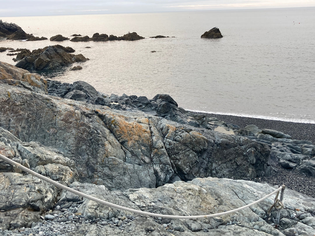 Trip Report - Porthkerris, Cornwall - August 2021