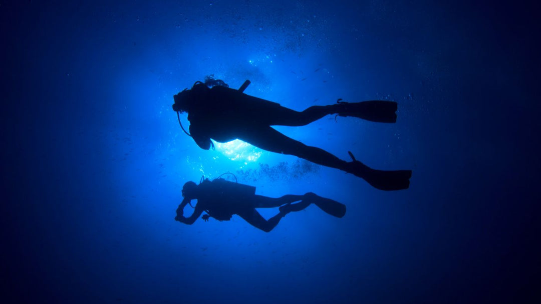 Is Your Regulator Dive-Ready? The Ultimate Regulator Pre-Season Care Guide