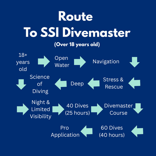 SSI Divemaster Route for those over 18 | Dive Rutland