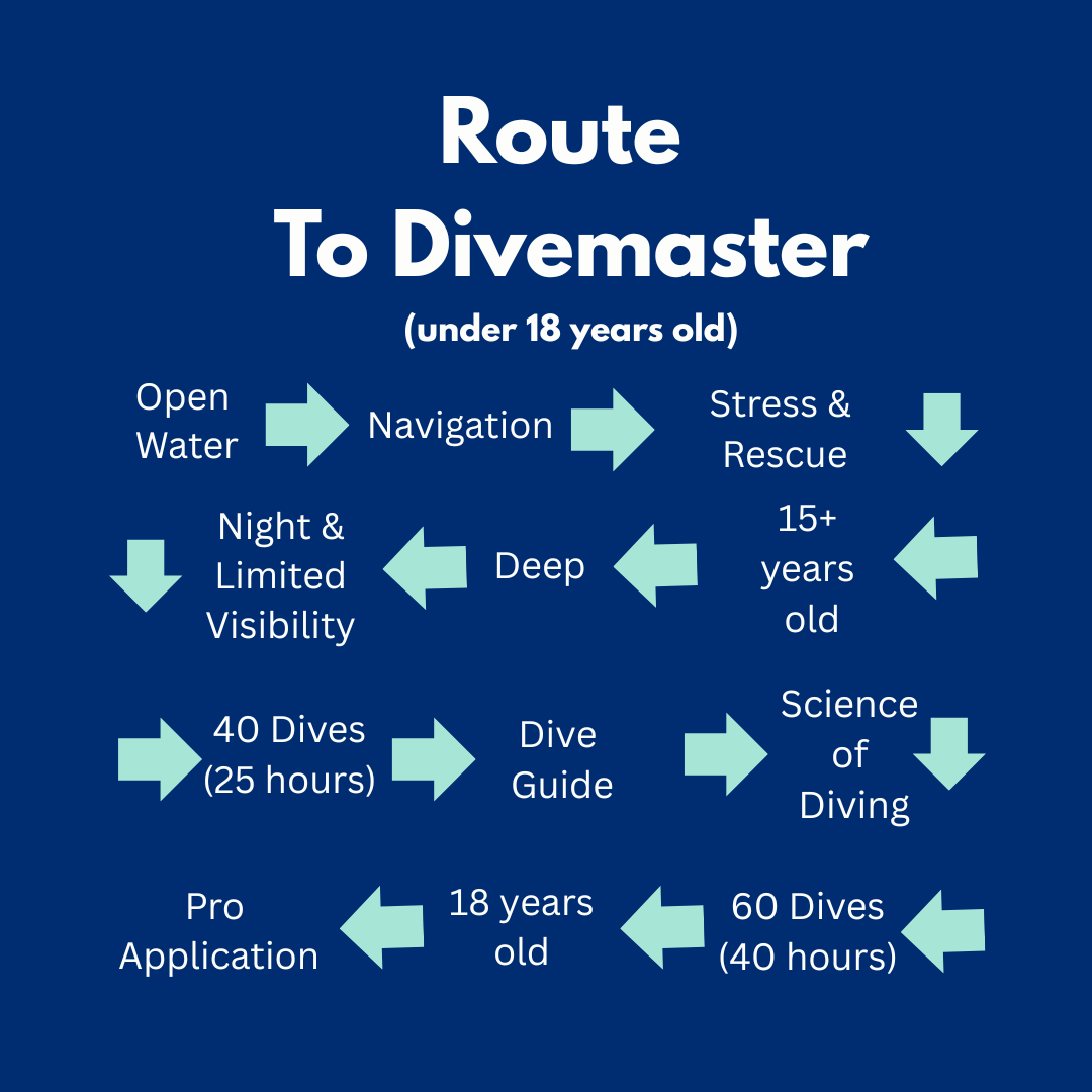 SSI Divemaster Route for those under 18 | Dive Rutland
