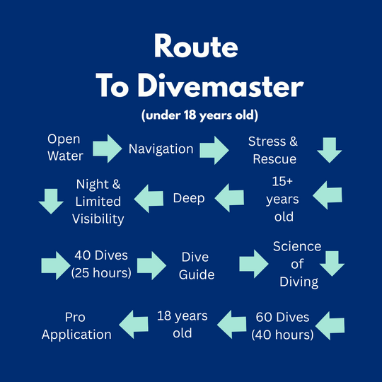 SSI Divemaster Route for those under 18 | Dive Rutland