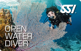 Open Water Diver Course: SSI