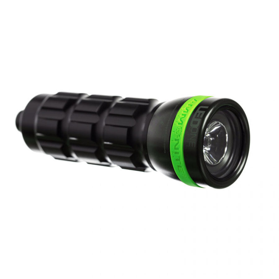 Ammonite LED One Mini  | Dive Rutland