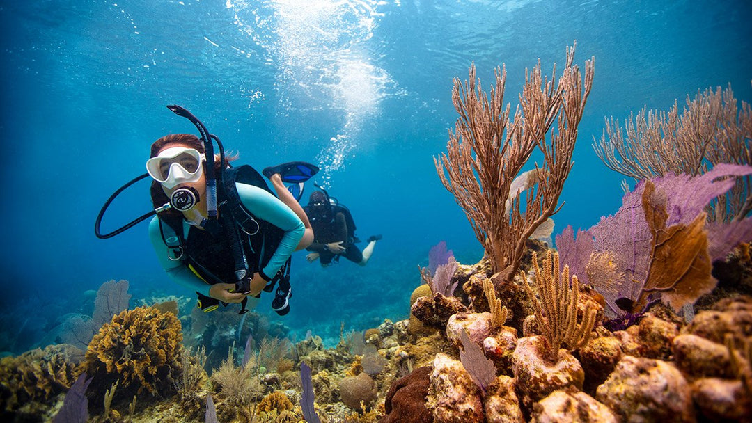 PADI eLearning - Open Water | Dive Rutland