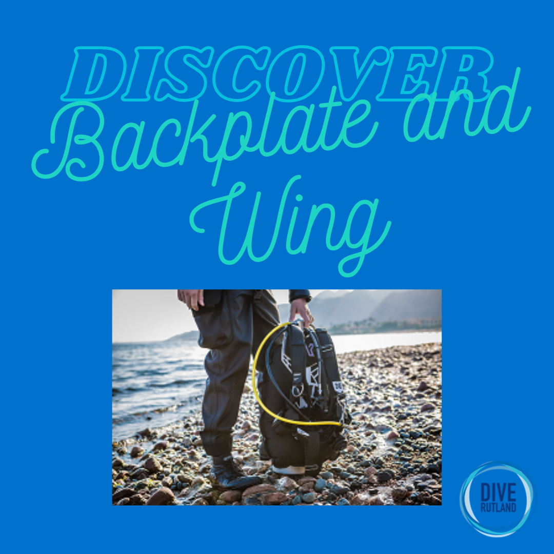 Discover about Backplate and Wing systems | Dive Rutland