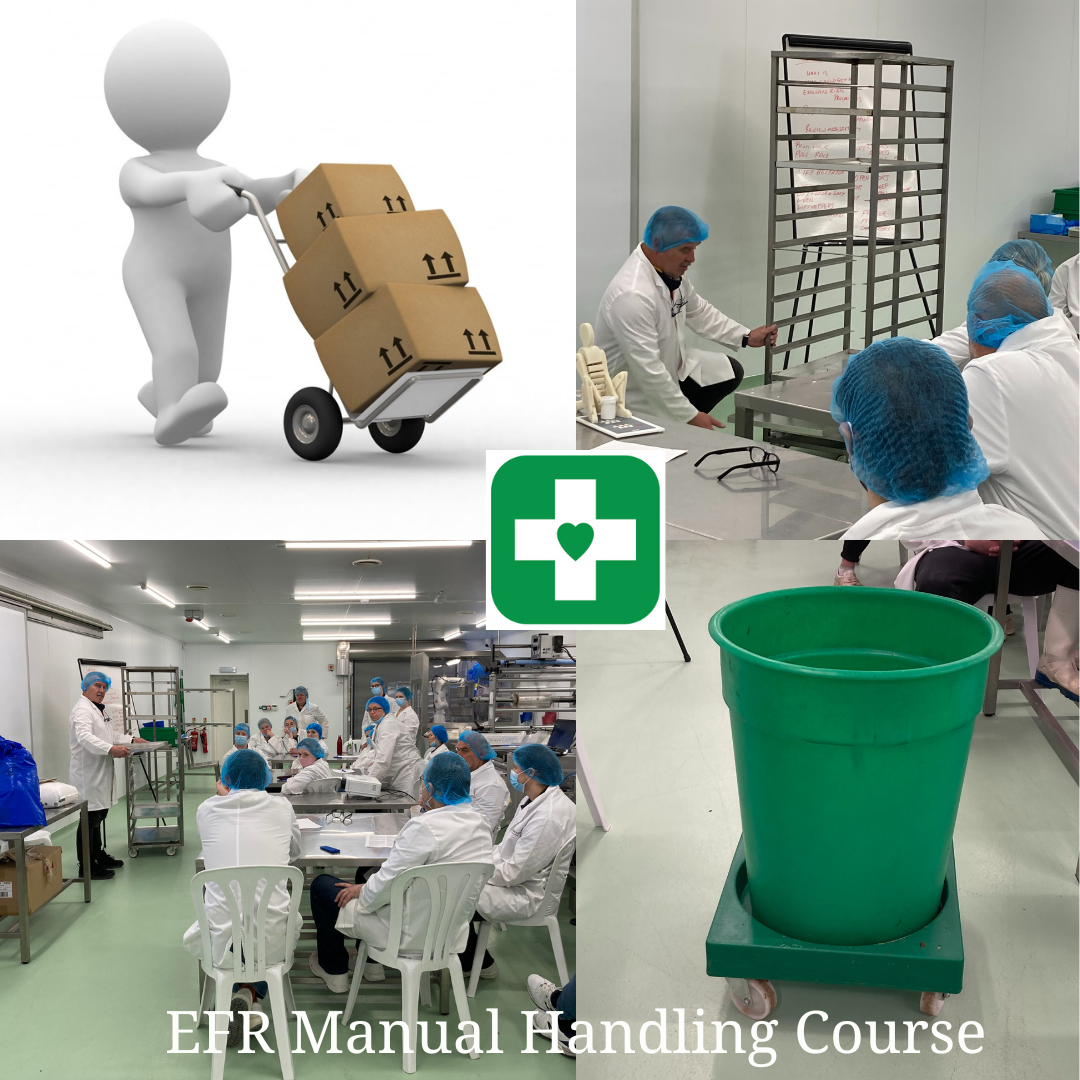 EFR: Manual Handling in the Workplace Course