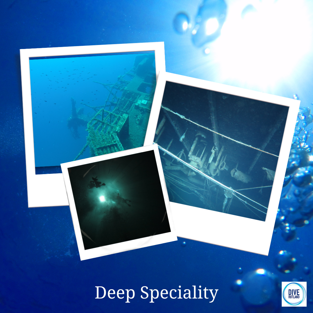 Deep Speciality: PADI