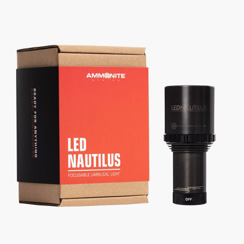 Ammonite Nautilus | Dive Rutland