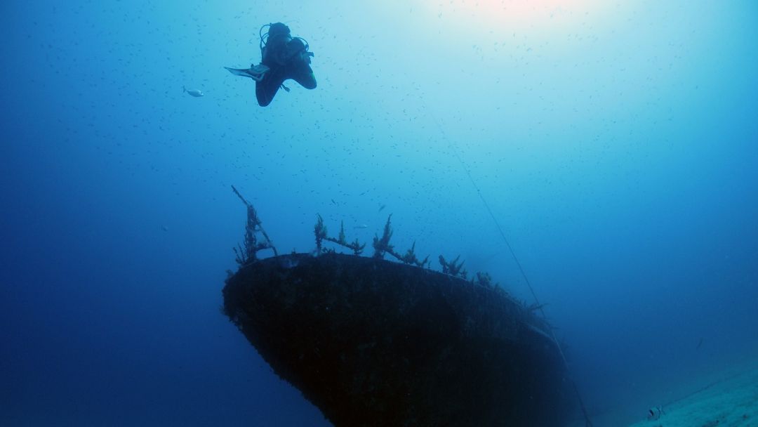 Beyond Divemaster: Your Blueprint to Becoming a Diving Instructor