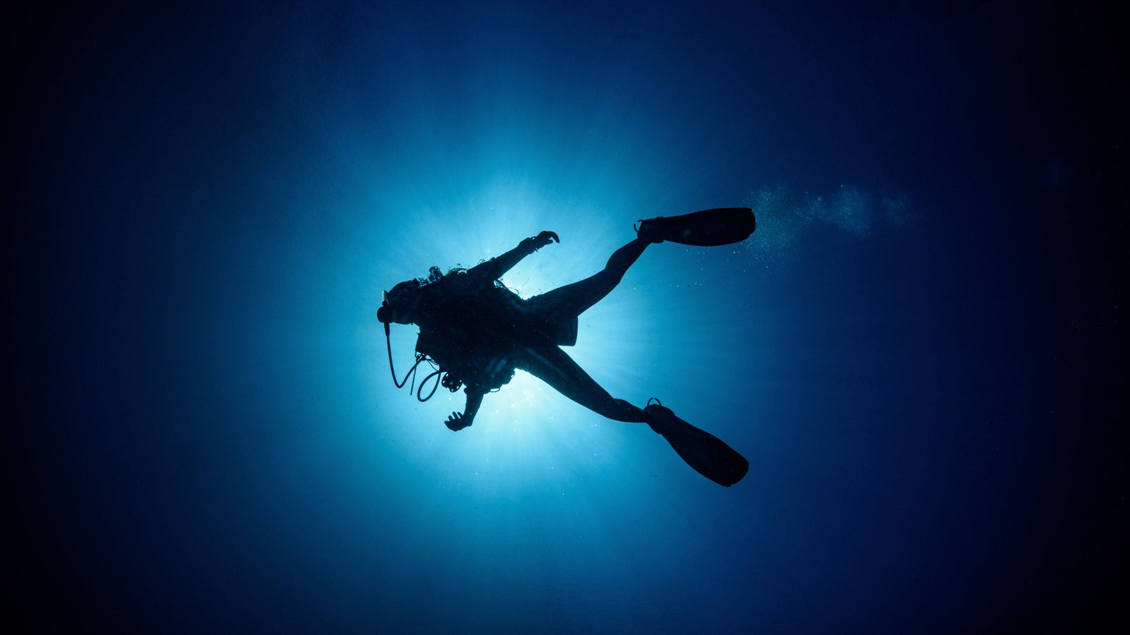 Guide to Wetsuits
