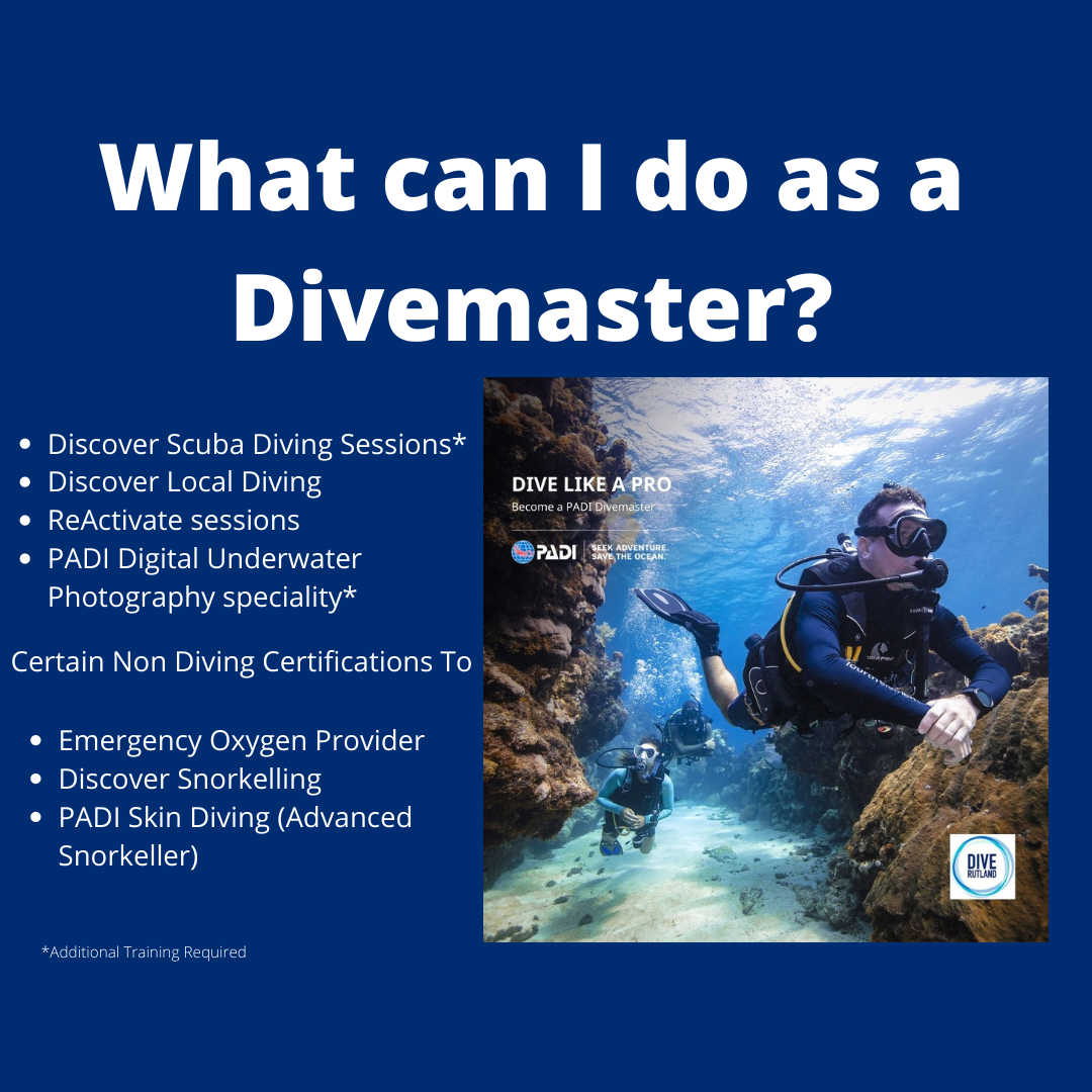 So you are a Divemaster, now what?