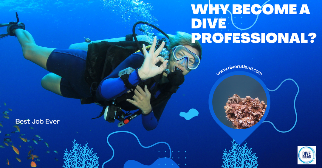 Why become a Dive Professional