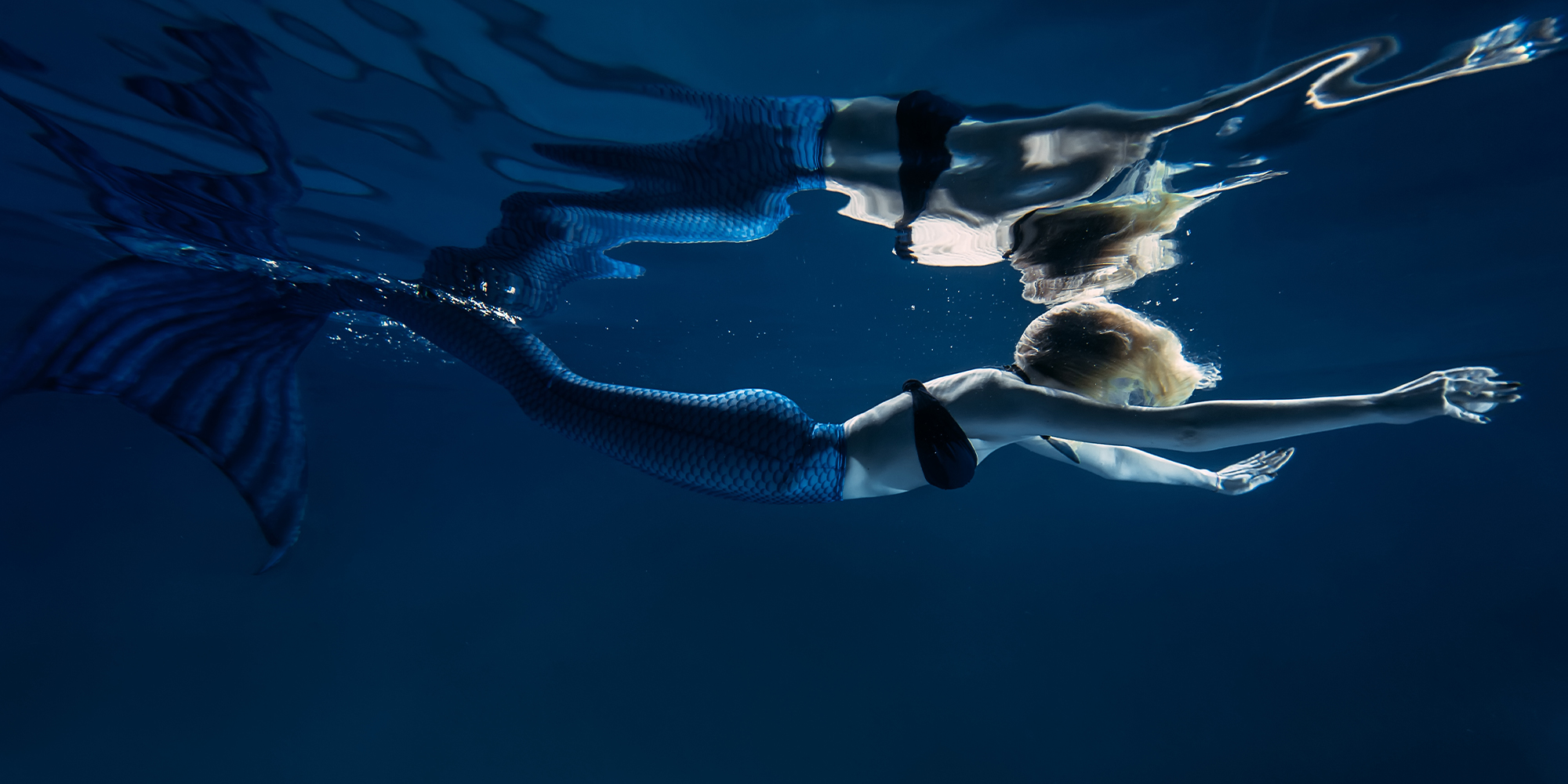 Freediving & Mermaid