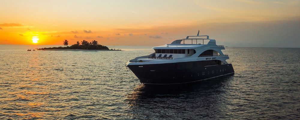 Trips and Events
