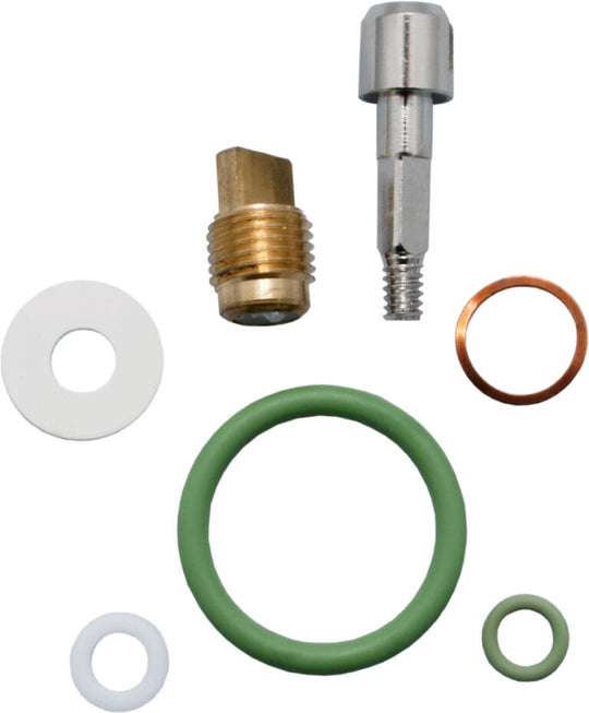 DIRZone Valve Kit for DZ Mono Valves O2 clean