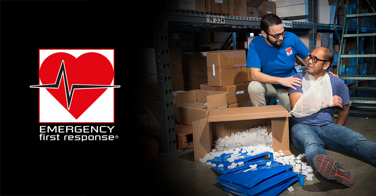 EFR Primary and Secondary Care (CPR & First Aid) Refresher Course Dive Rutland