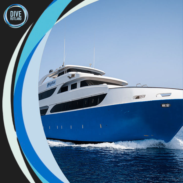 Egypt - Liveaboard - May 2028