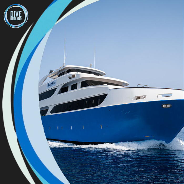 Egypt - Liveaboard - May 2028