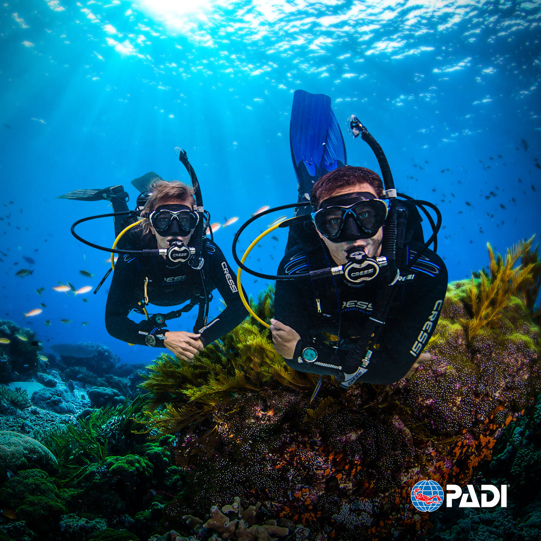 PADI Open Water | Dive Rutland