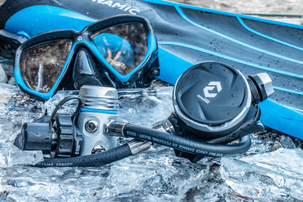 Regulator Servicing