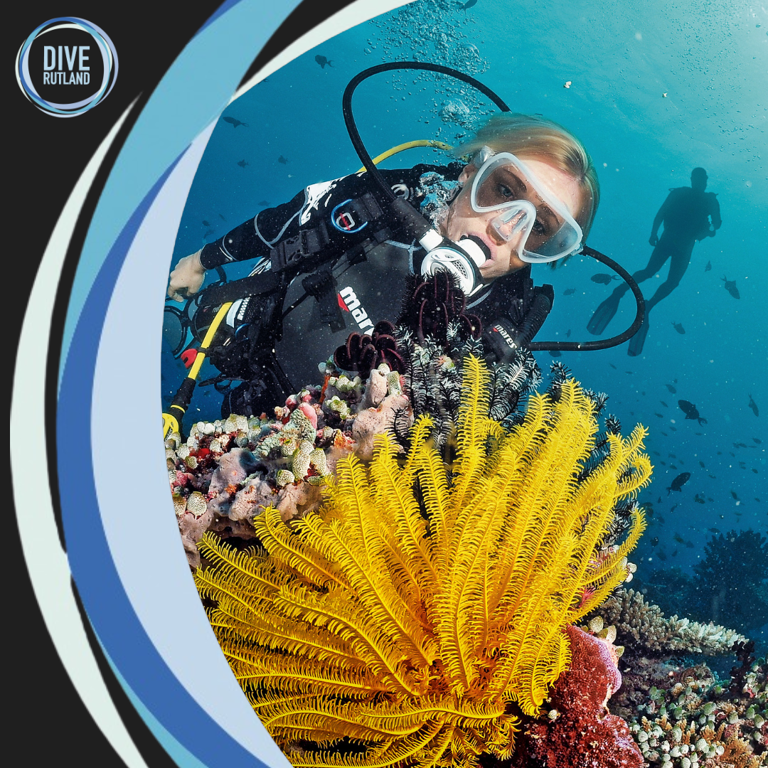 SSI Advanced Adventurer with Dive Rutland