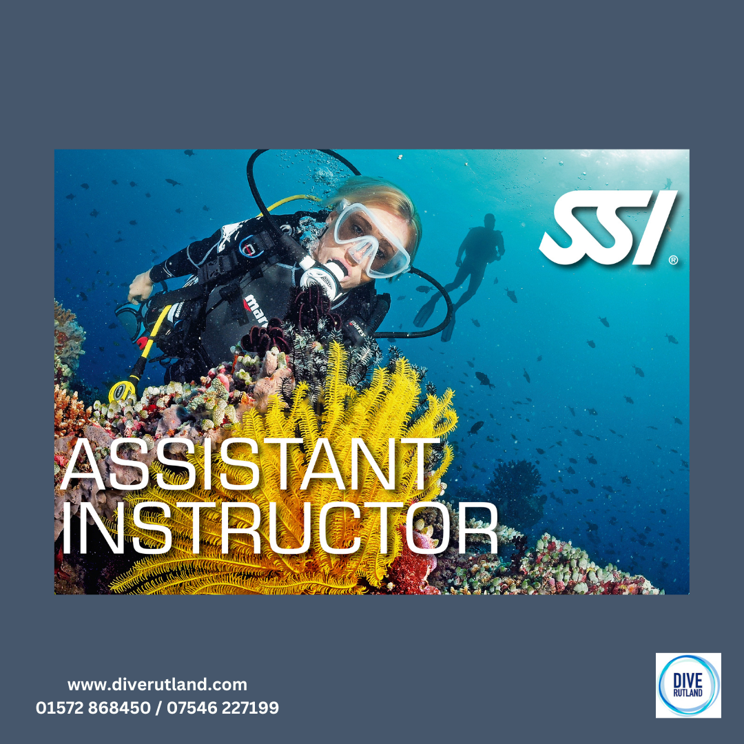 SSI Assistant Instructor Course with Dive Rutland