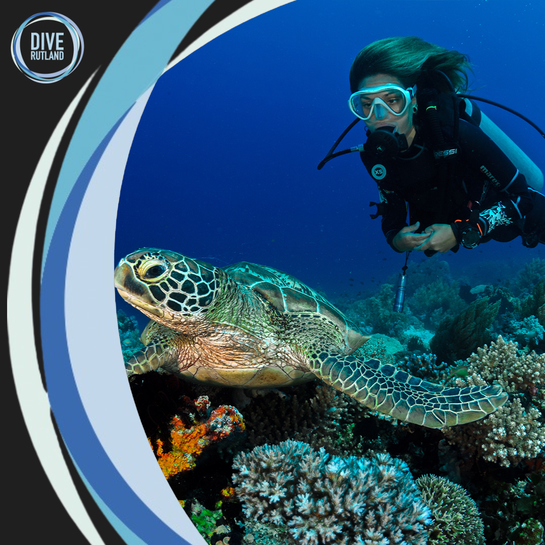 SSI Open Water Course | Dive Rutland