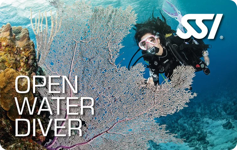 SSI Open Water | Dive Rutland