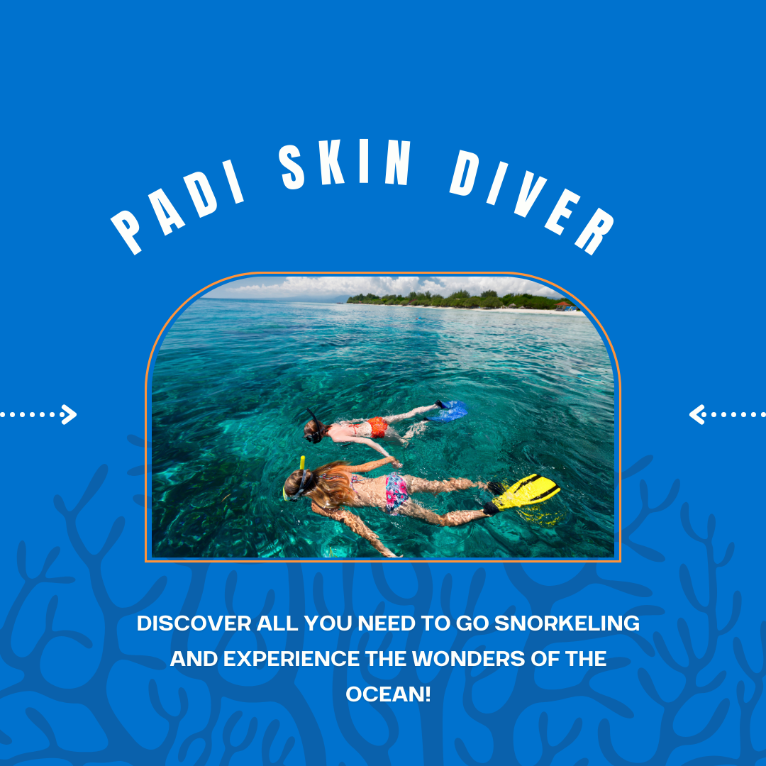 PADI Skin Diver available at Dive Rutland