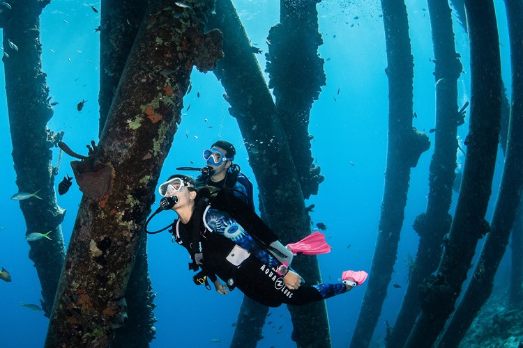 Two scuba divers in Aqua Lung equipment finning between encrusted pier pillars in clear blue water