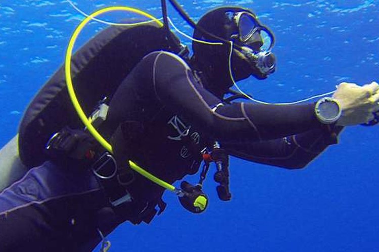 Diver in trim underwater with hoses and gauges clipped to the D-rings on their BCD harness