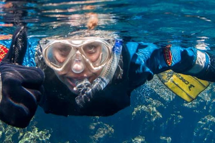 Snorkeller at the surface wearing a mask and snorkel, with a fin visible in clear blue water