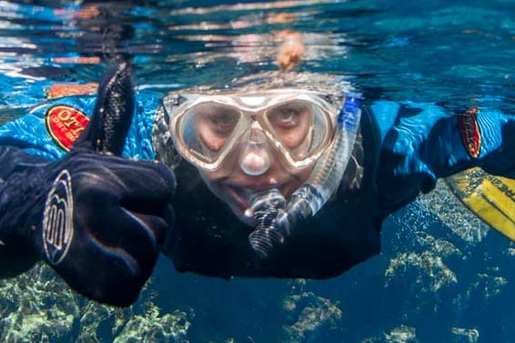Snorkeller breathing through a snorkel at the surface in clear cold water