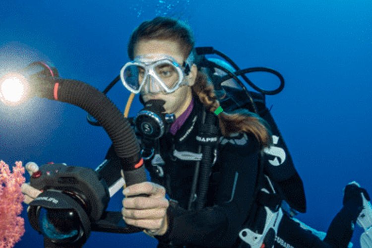 Diver holding an underwater video light and camera rig above soft coral