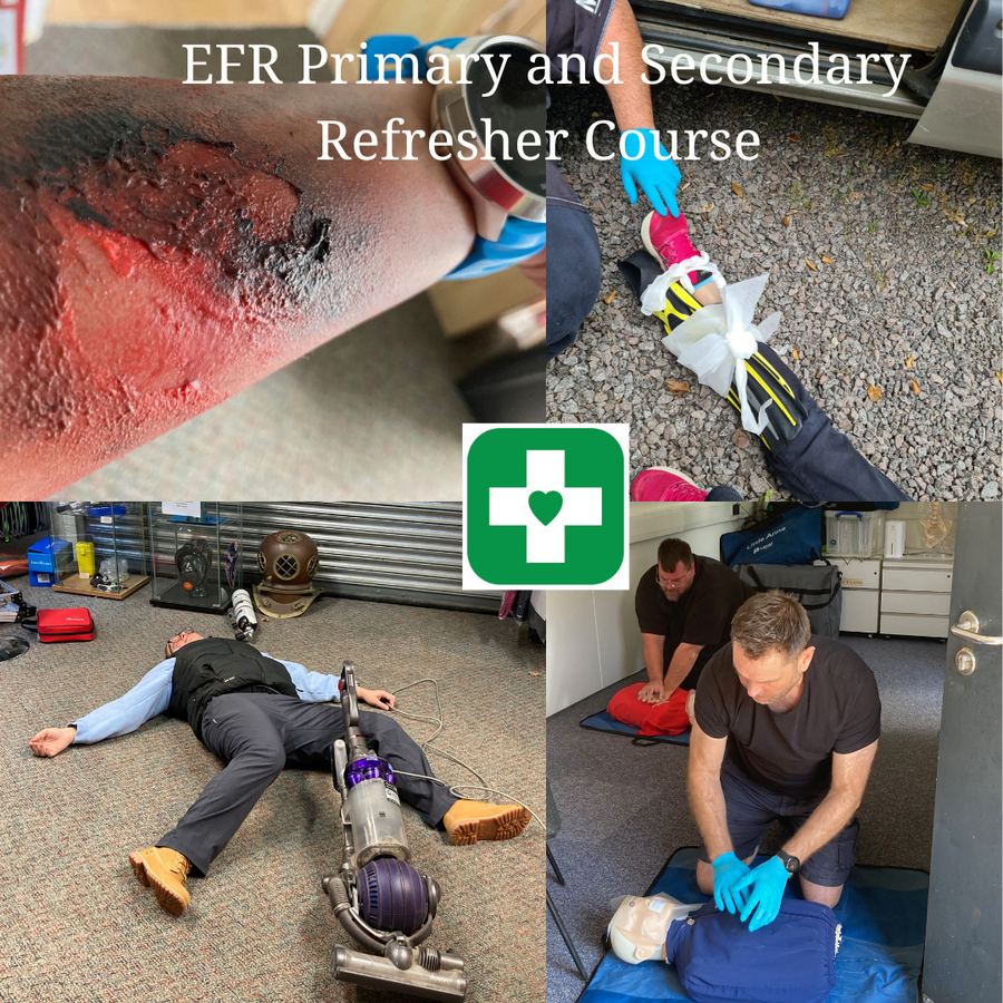 EFR Primary and Secondary Care (CPR & First Aid) Refresher Course
