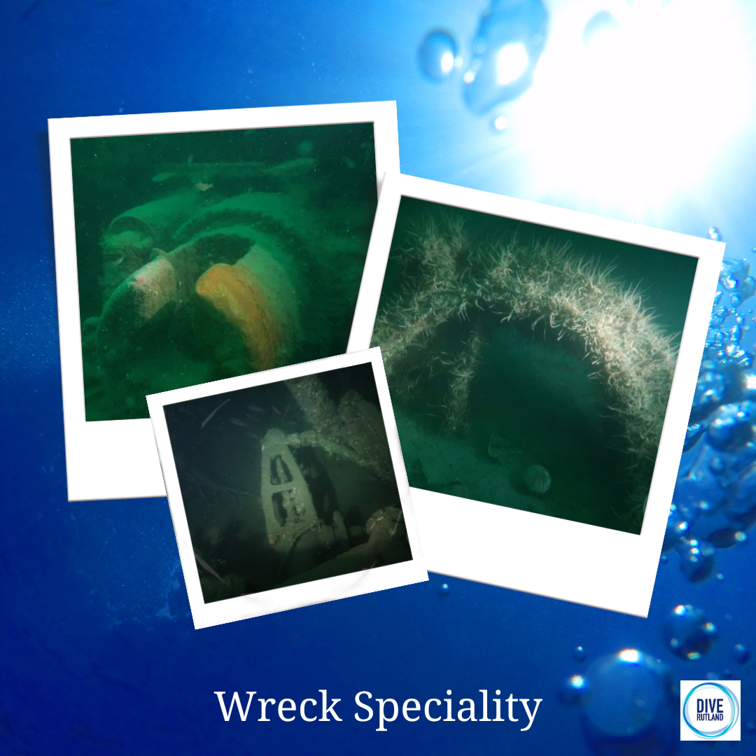 Wreck Diver Speciality: PADI