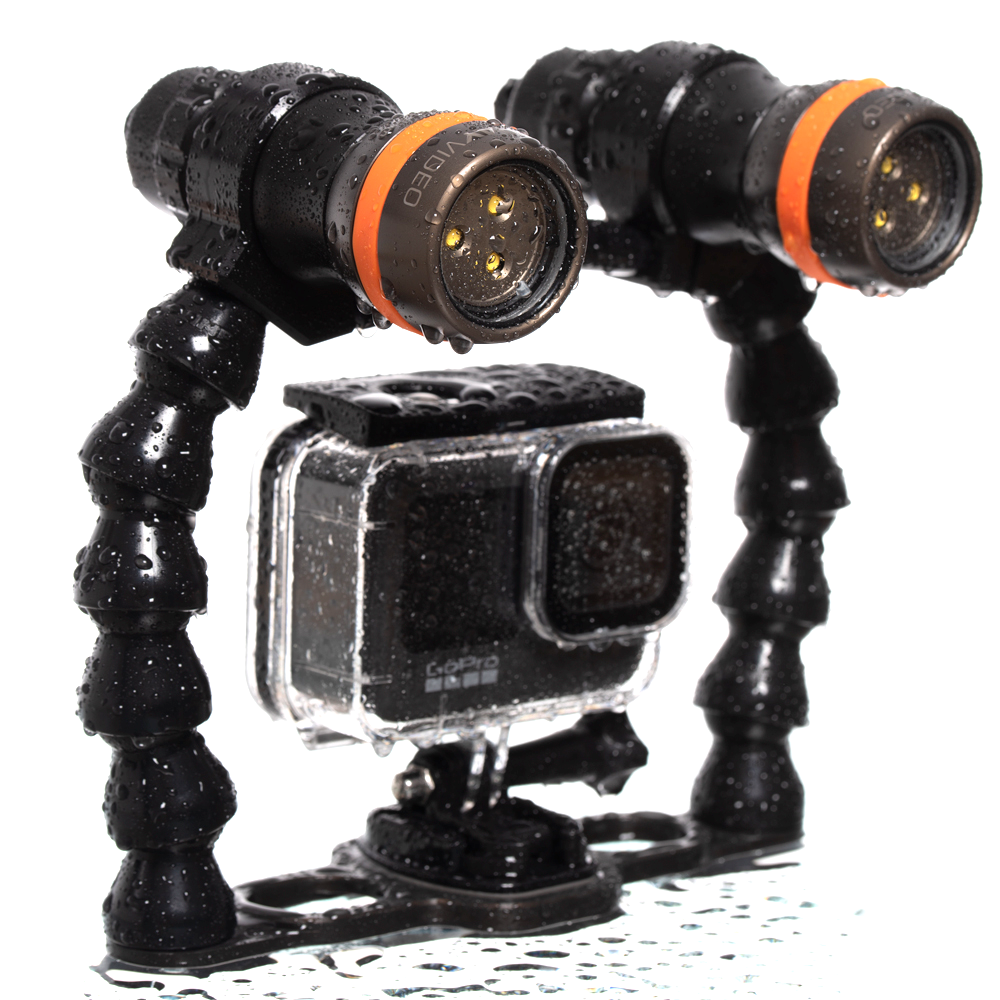 Ammonite LED Stringray Video Set | Dive Rutland